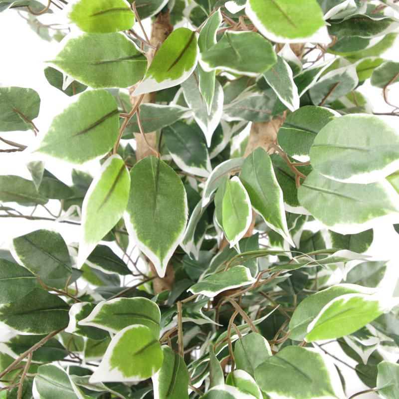 130cm Faux Ficus Tree in Pot Liner