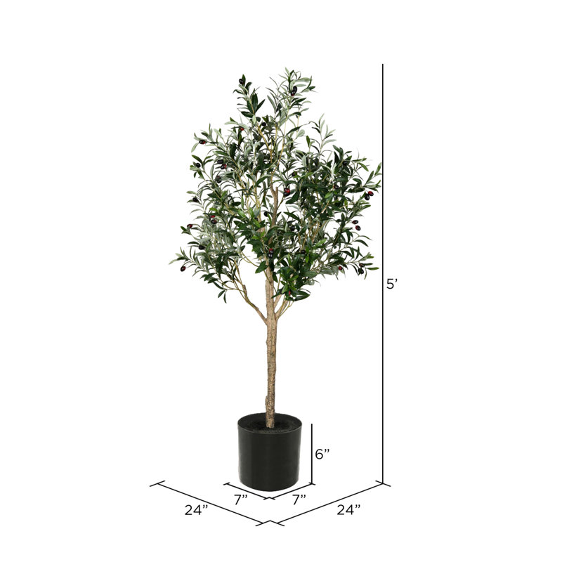 Lush Lifelike Potted Olive Tree with 56 Olives - 63" Height