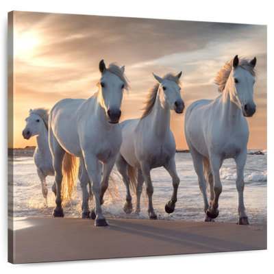 Brampt Shoreline White Horses