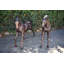 Paire de jeunes chevaux très détaillés, poulains et statues en bronze, taille: 56 po x 50 po x H 47 po