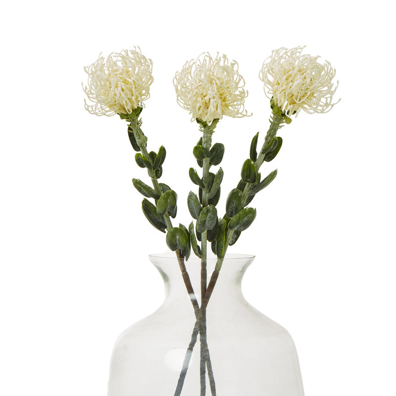 Anastasija Arrangement, Cream