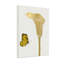 Plantes et fleurs de lis Calla doré avec papillon jaune-1059780788