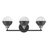 Kyoto 3 - Light Dimmable Vanity Light