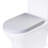 Elongated Toilet Seat
