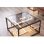 Carlia Frame Coffee Table