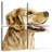 Brampt Pet Profile II-109098664