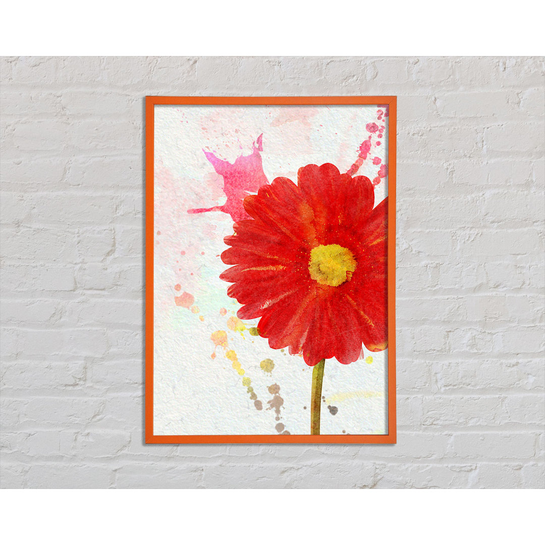 Blakes Gerbera Splash - Einzelner Bilderrahmen Kunstdrucke