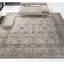 Wool Oriental Area Rug