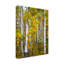 « yellow colors v », photographie sur toile tendue-1175351772