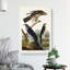Goshawks & Stanley Hawk by John Audubon - Wrapped Canvas-55312227