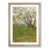 Oak Framed