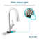 Avado Pull Down Single Handle Kitchen Faucet
