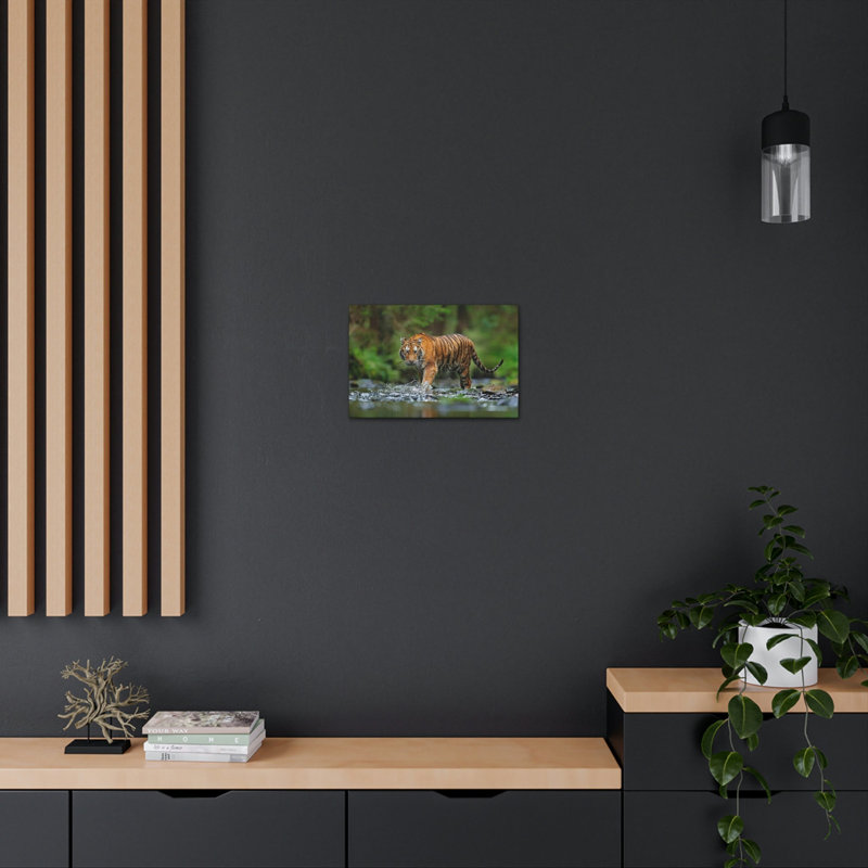 Impression d'art mural tigre chasse, H 12 po x l 18 po