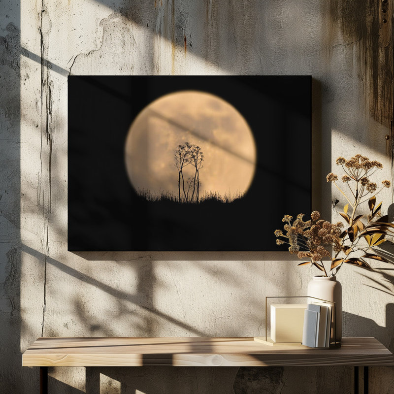 Wrapped Canvas Print, 50.8 cm H x 76.2 cm W