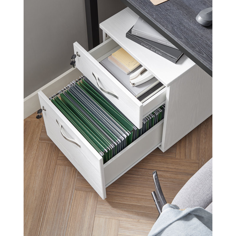 54.4cm Wide 2 -Drawer Mobile File Cabinet