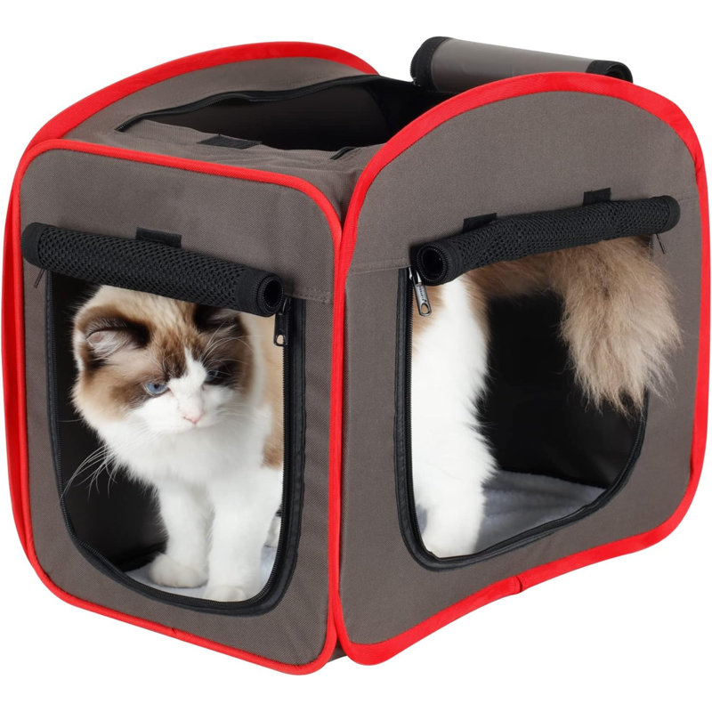 Cage portative pliable pour chat et transport de chat, sans litière (moyenne), H 21 po x l 19 po x P 27 po
