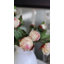 Pivoine jaune tendre 48 cm-136068135