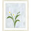 Periwinkle Floral Study 4 Print by Lillian August