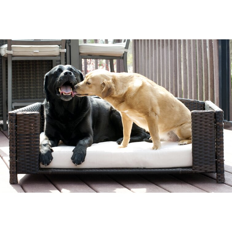 Cristobal Rattan Rectangular Dog Sofa