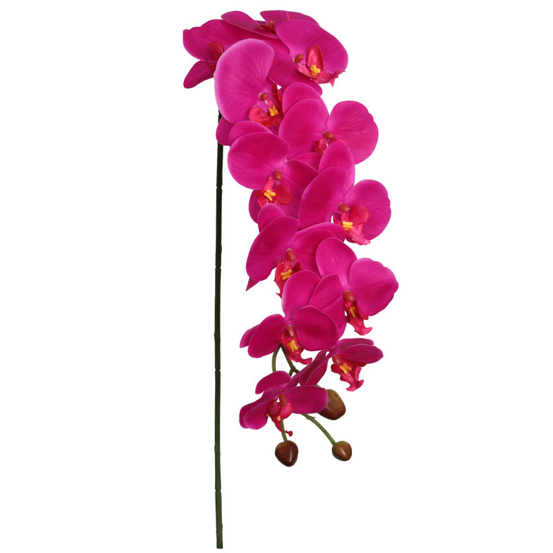 Orchidée Phalaenopsis 43 "avec 12 fleurs - fuchsia (ensemble de 3) 