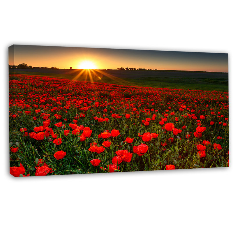 Coucher de soleil sur un jardin avec coquelicots rouges - reproduction de photo sur toile tendue, H 28 po x l 60 po
