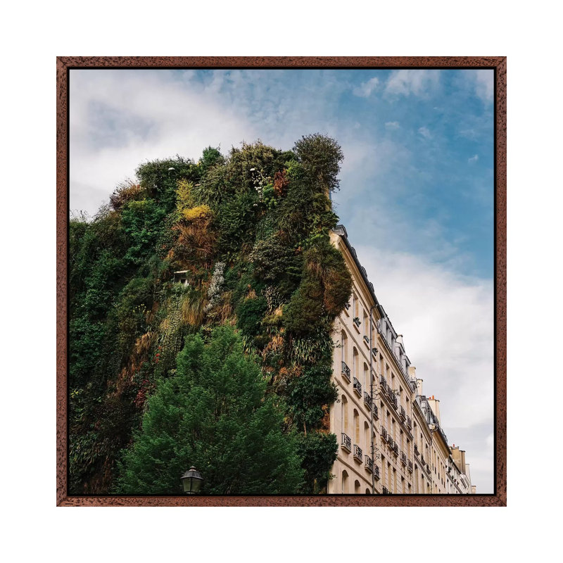Parisian Vertical Garden II by Bethany Young - Print on Canvas, 93.98cm H x 93.98cm W x 3.81cm D, Classic Brown Wood Framed