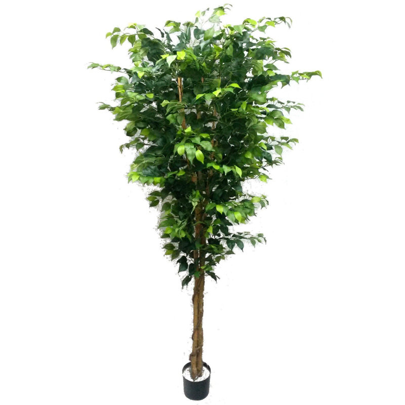 Faux Ficus Tree in Plastic Pot, 84" H x 11" W x 11" D