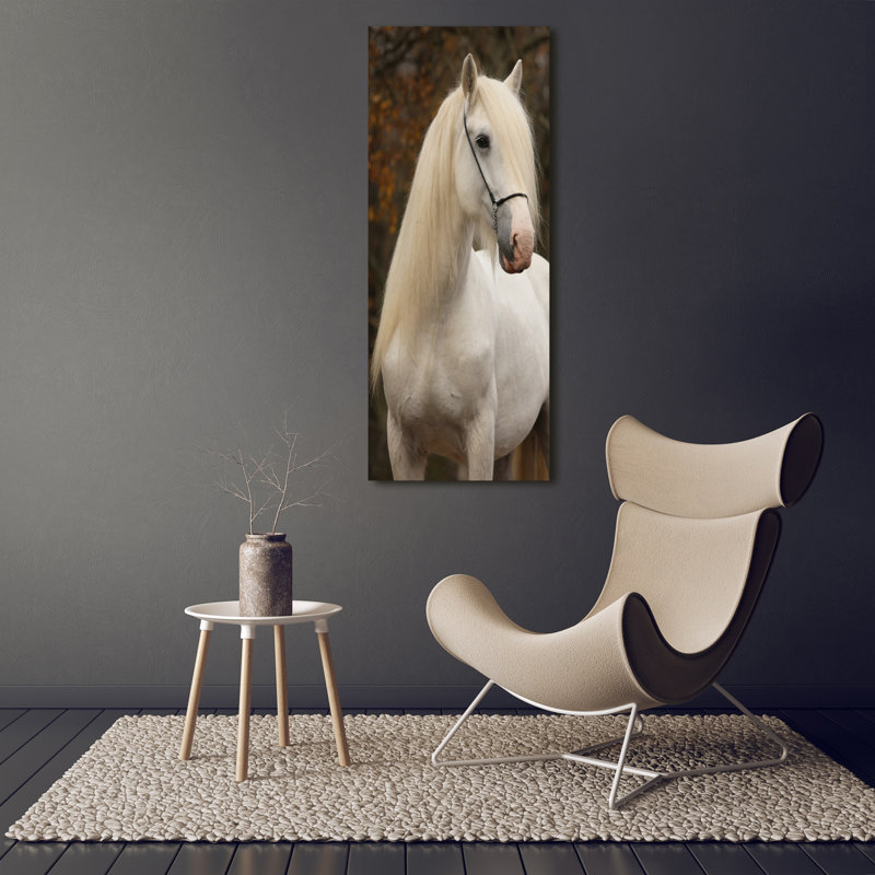 White Horse - Wrapped Canvas Print