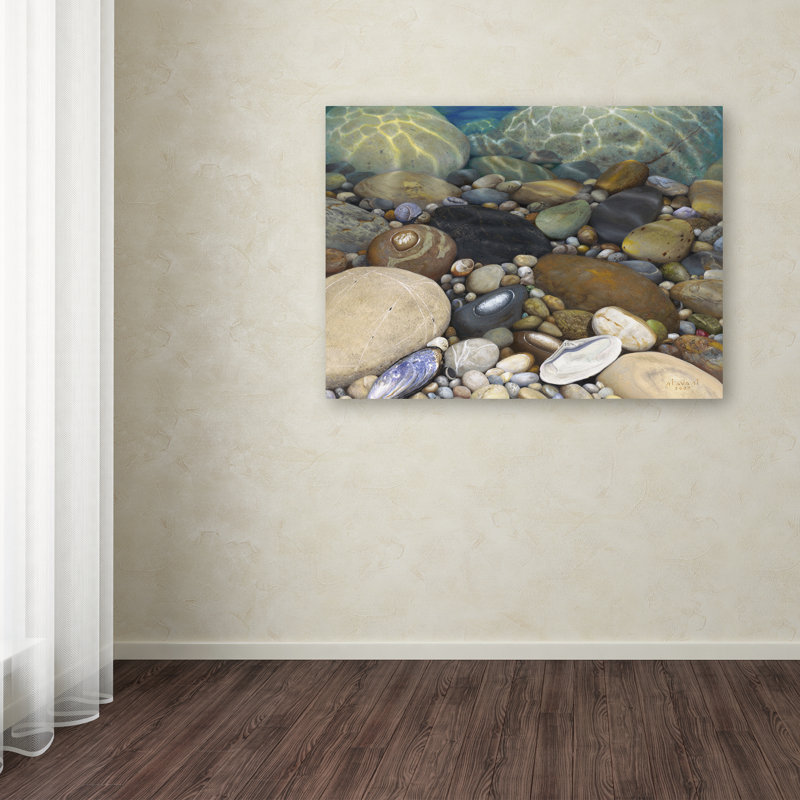 Shoreline Treasures par Stephen Stavast - reproduction de photo sur toile tendue, H 14 po x l 19 po x P 2 po