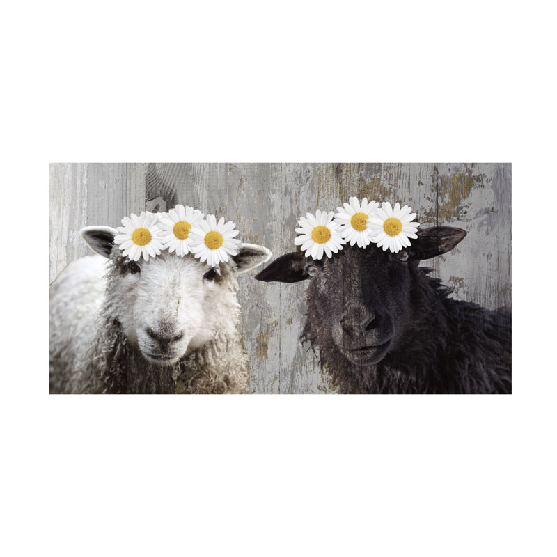 Art sur toile «Bachelor Sasha Sheep Party», H 24 po x l 47 po