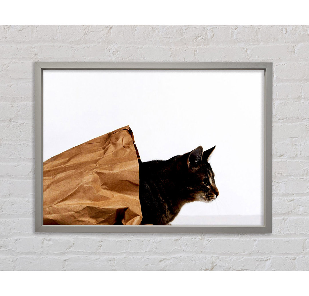 Cat In A Bag - Einzelner Bilderrahmen Kunstdrucke auf Leinwand