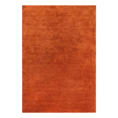 Aikin Solid Colour Shag Area Rug