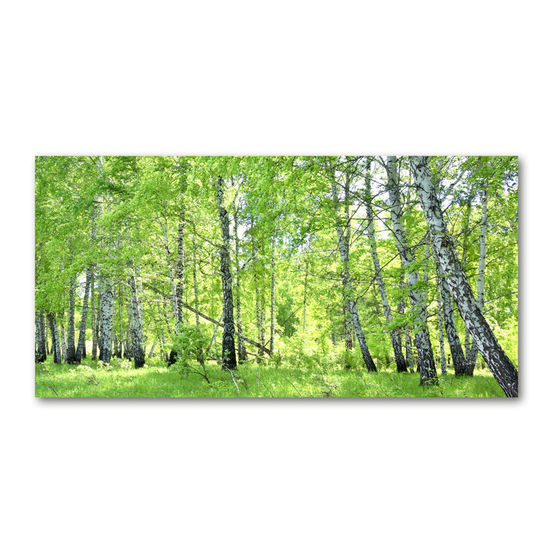 Union Rustic Birch Forest - Wrapped Canvas Art Prints | Wayfair.co.uk