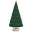 Water Hyacinth Tree Collar