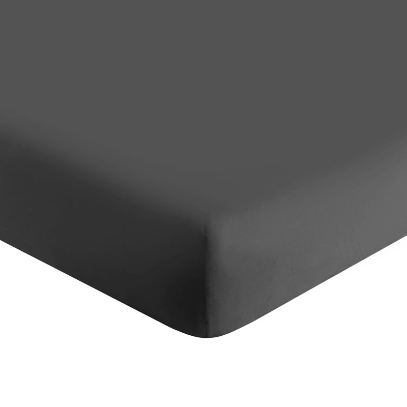 Lieselotte Extra Deep 100% Microfiber Brushed 40 cm Fitted Sheet, Single (3'), Charcoal