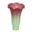 Novelty Lamp Shade-559056523-559056521