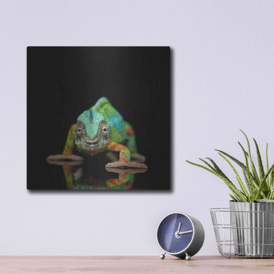 «Sneaky Cameleon» par Luxe Metal Portfolio