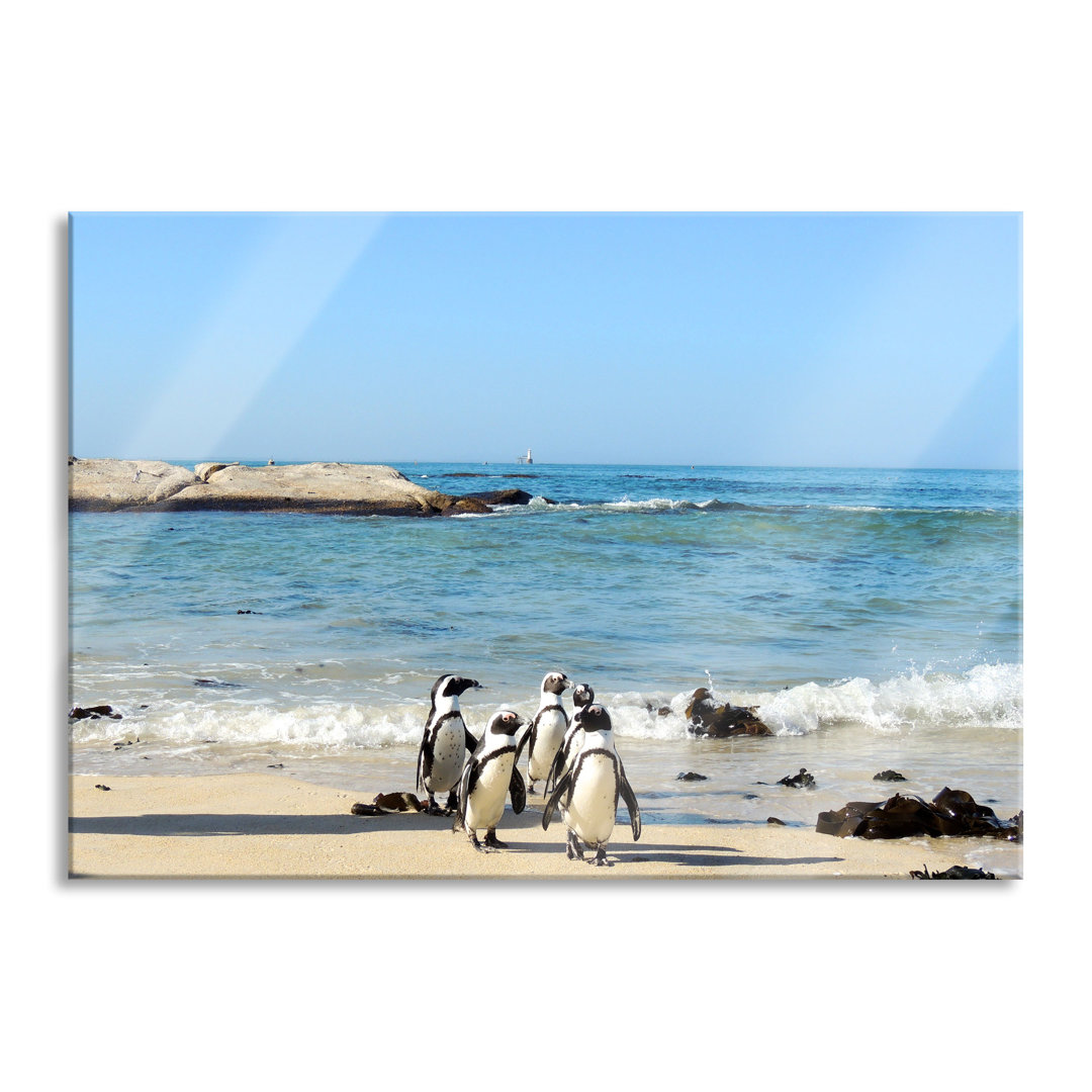 Glasbild Wandbild Auf Echtglas Pinguine Am Strand Inkl. Aufhängung Und Abstandshalter LF2014