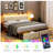 Danitra Upholstered Metal Slat Storage Bed-1197493864-1204081967