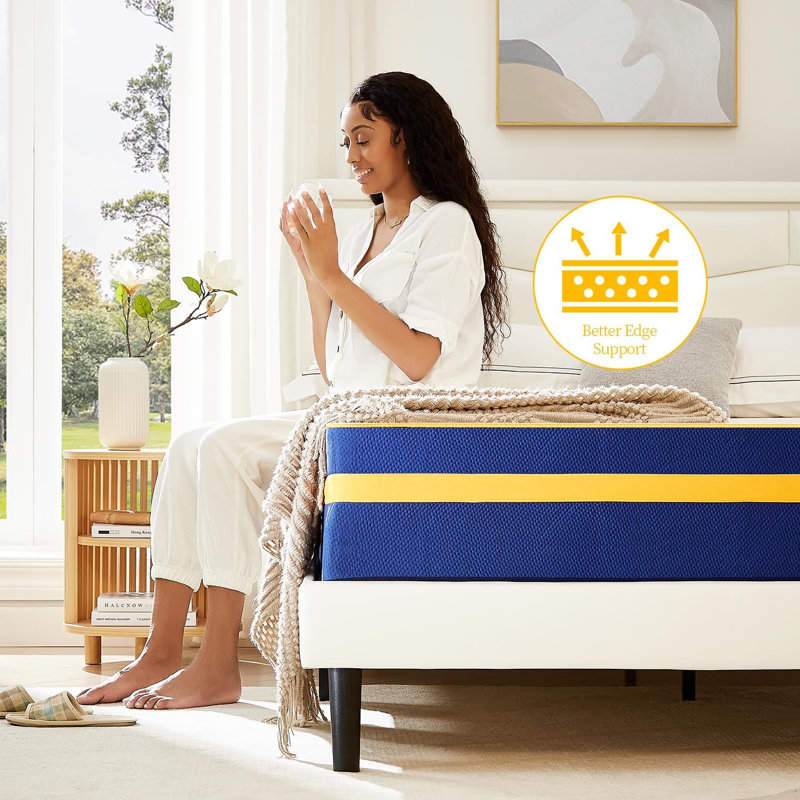 Britni 14'' Medium Memory Foam Mattress, Queen