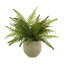 Outdoor UV-Rated Fern in Fiberstone Pot-748258957