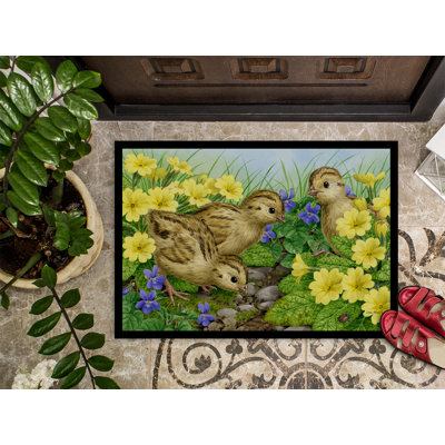 Tapis de porte pour l’extérieur antidérapant de poussins faisan