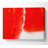 Red Apple Close-up - Wrapped Canvas Print-339551975