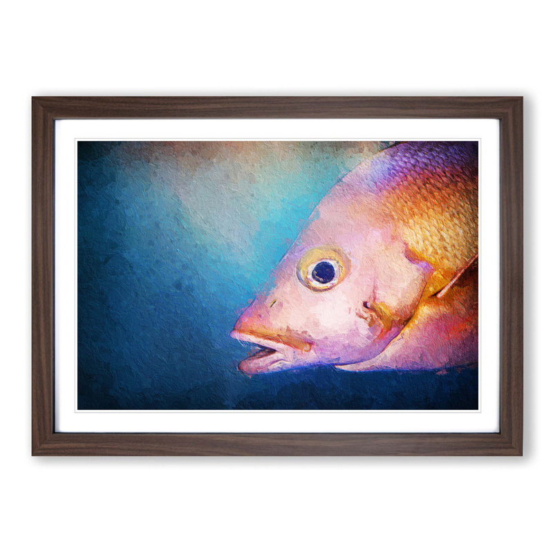 Pink Snapper Fish - Picture Frame Painting Print, 27cm H x 36cm W x 2cm D, Walnut Framed