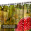 Rideau de douche avec 12 crochets Nature Forest-896288571