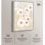 «White and Gold Poppies I», art floral élégant par -579062774-579062779