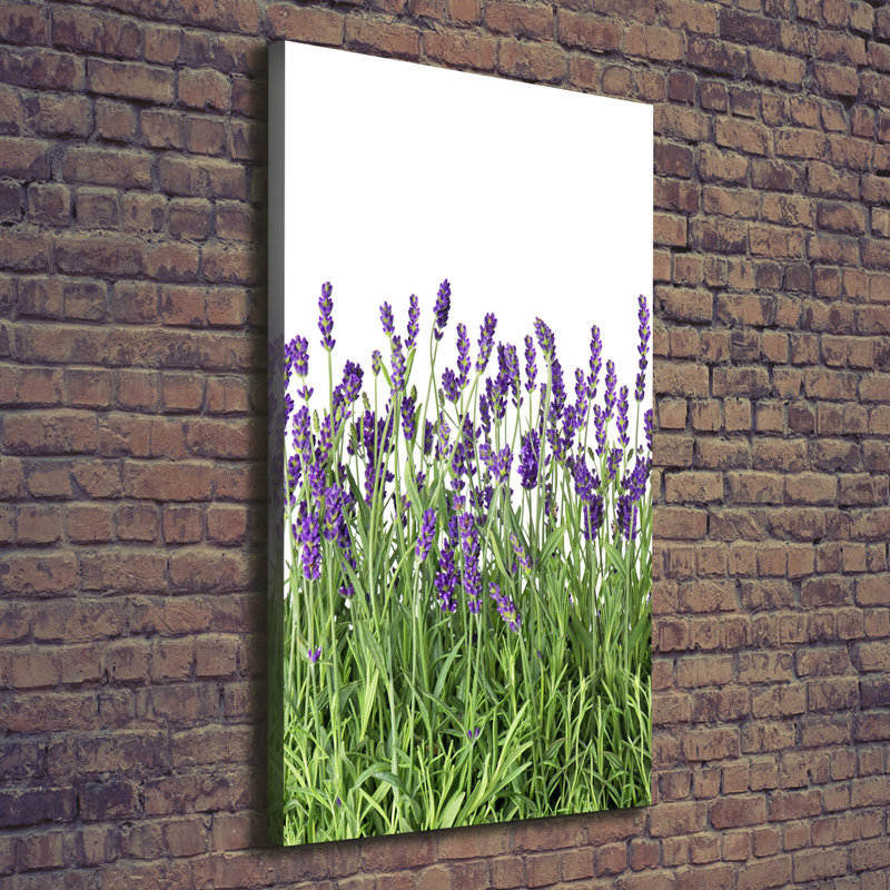 Lavender Field - Wrapped Canvas Print