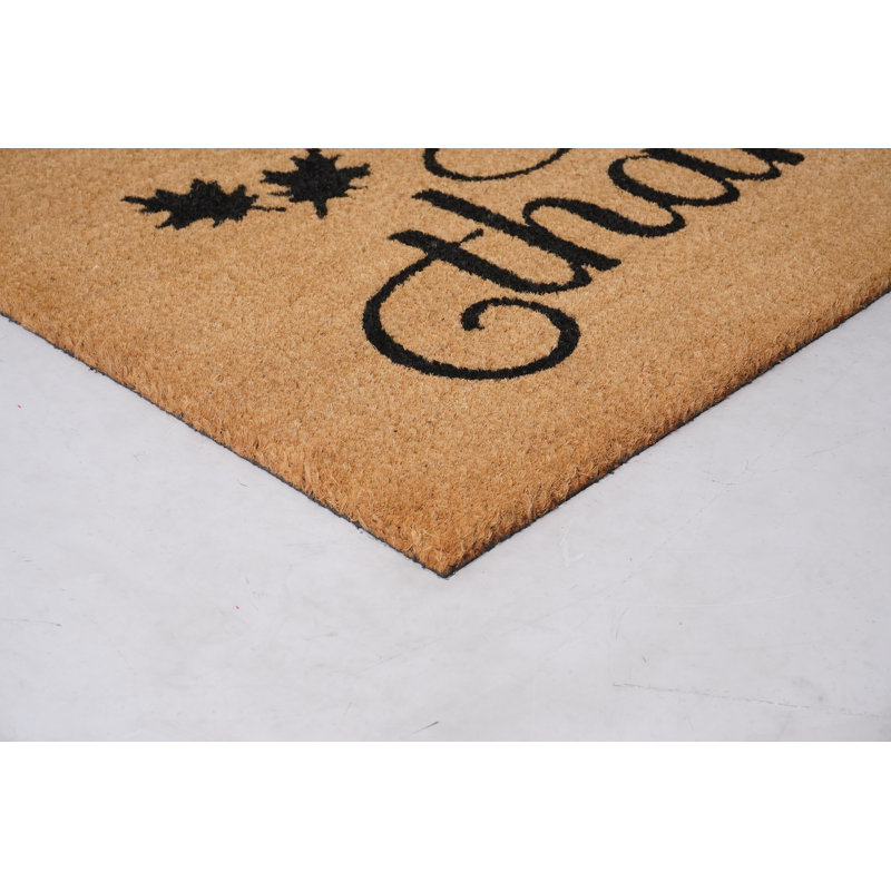 Tapis d'entrée antidérapant Ayvian, L 36 po x L 72 po