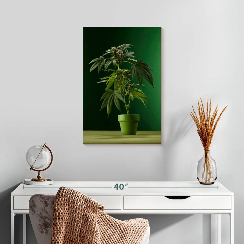 Marijuana en pot, H 24 po x l 16 po