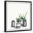 " Lined Pots "-32737666